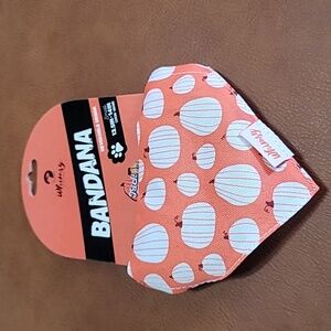 Whimsy Orange Pumpkin Dog Bandana Collar